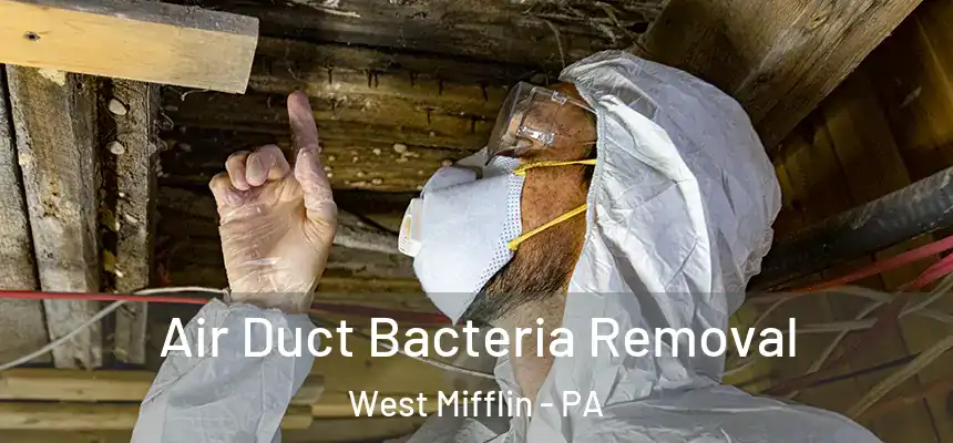  Air Duct Bacteria Removal West Mifflin - PA