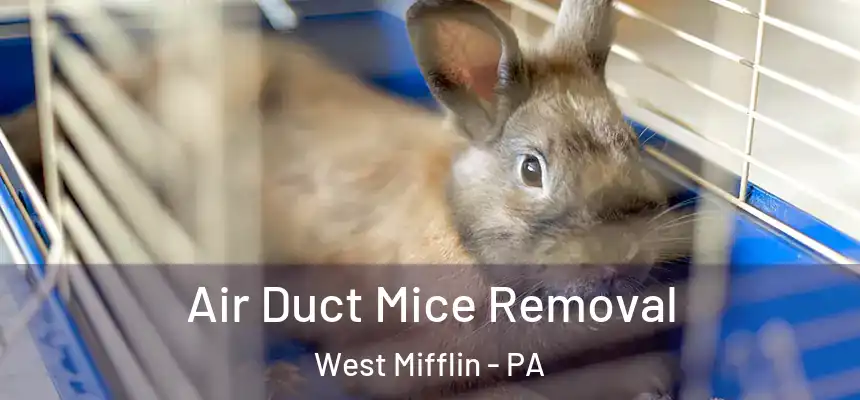  Air Duct Mice Removal West Mifflin - PA