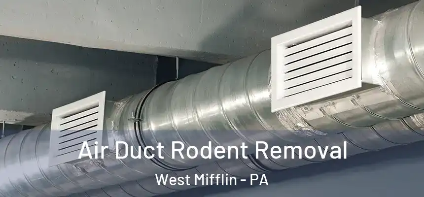 Air Duct Rodent Removal West Mifflin - PA