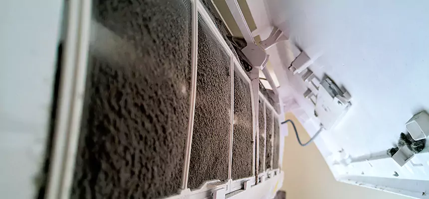 Preventive Air Duct Bacteria Removal in West Mifflin