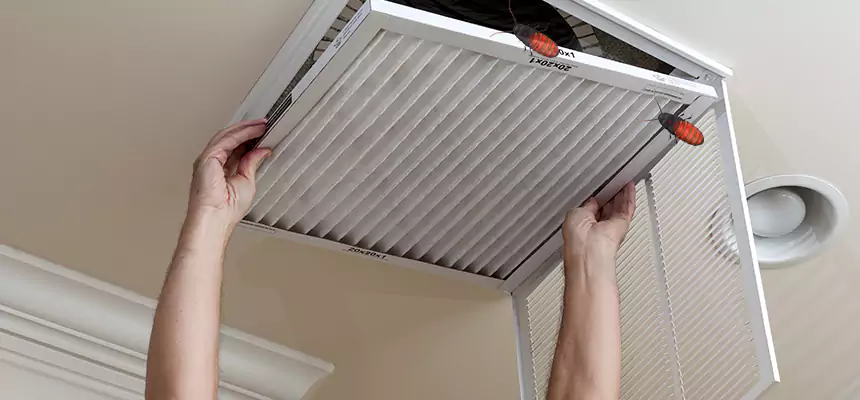 Preventive Cockroach-Proofing for Ducts in West Mifflin