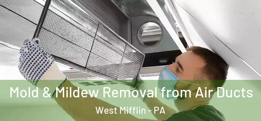  Mold & Mildew Removal from Air Ducts West Mifflin - PA