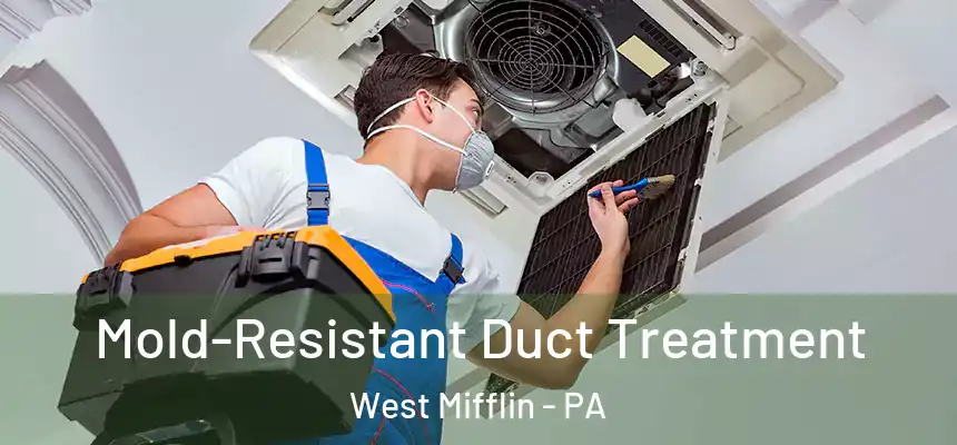  Mold-Resistant Duct Treatment West Mifflin - PA