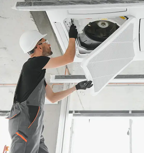 About Air Duct Rodent Removal in West Mifflin, PA